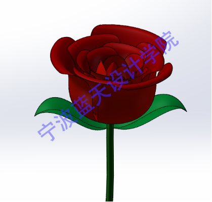 solidworks玫瑰花教程